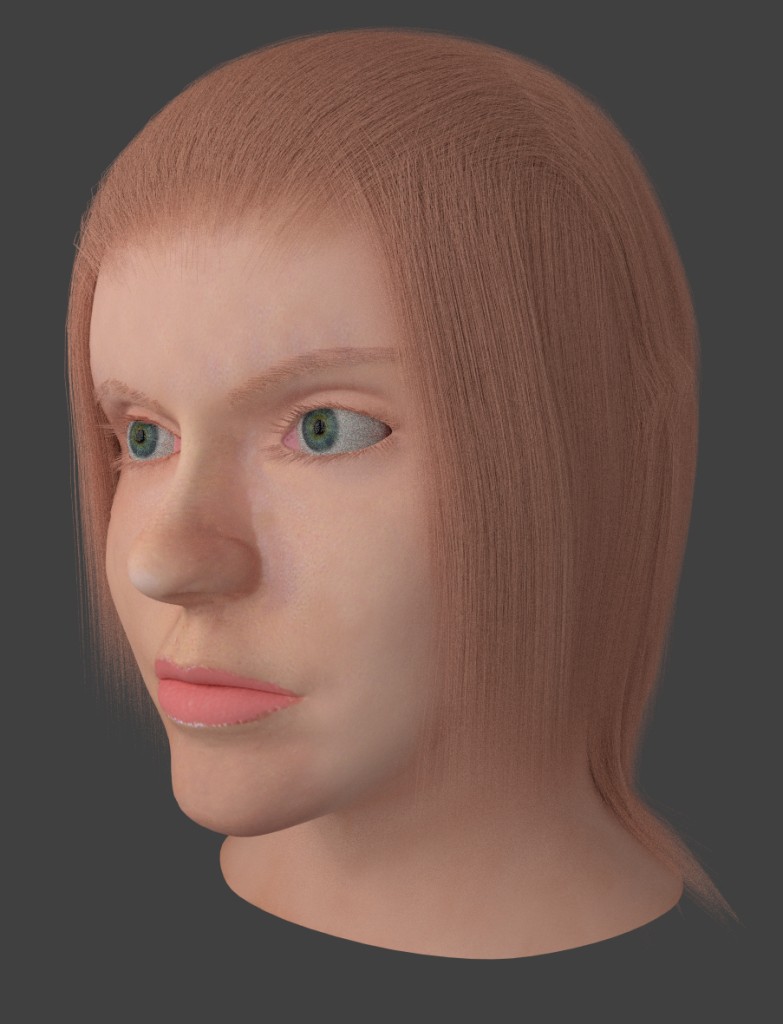 Female head preview image 1